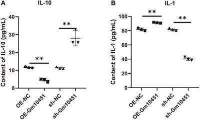 The regulatory effect and molecular mechanism of lncRNA Gm10451 on islet cell dysfunction in children with diabetes